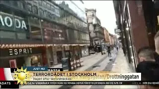 Hovreporterns egna bilder "Där ligger en död hund" - Nyhetsmorgon (TV4)