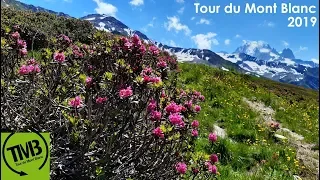 Tour du Mont Blanc 2019 или пешком через три страны!
