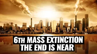 The 6th Mass Extinction Is Happening Now