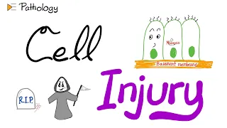 Introduction to Pathology...Cell Injury | A New Pathology Series