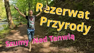 Roztocze cz.2 - Rezerwat przyrody Szumy Nad Tanwią. Ścieżka Przyrodnicza. ASMR odgłosy natury