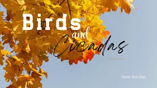 飞鸟和蝉 - 任然 | Bird and Cicadas - Ren Ran | Lyrics, Pinyin and Engsub