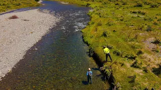 Beyond the Water Temperature: Observing Trout Condition & Behavior & Environmental Conditions