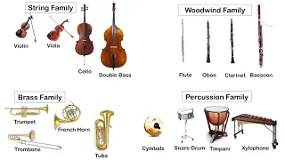 Instruments of the Orchestra - Listening Test