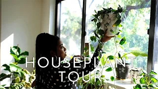 NYC HOUSEPLANT TOUR | 40+ PLANTS!!