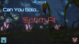 FFXIV : Can You Solo... Sohm Al ?