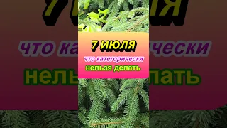 7 июля народный праздник Иванов день, Ивана Купалы. Что нельзя делать. Народные приметы и традиции