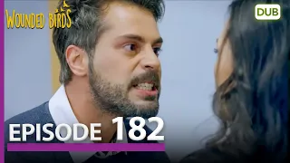 Wounded Birds Episode 182 - Urdu Dubbed | Turkish Drama