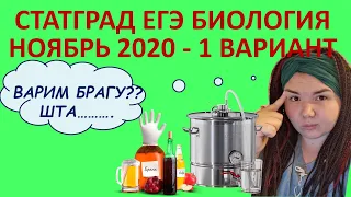 РАЗБОР 1 ВАРИАНТА ЕГЭ | СТАТГРАД БИОЛОГИЯ НОЯБРЬ 2020