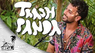 Trash Panda - En La Selva (Live Music) | Sugarshack Sessions