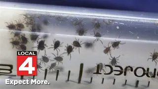 Consumer Reports: How to prepare for a tick-free summer