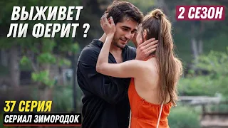 2 СЕЗОН ! Турецкий сериал Зимородок 37 серия русская озвучка - ФЕРИТ БУДЕТ ЖИВ?