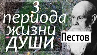 ТРИ периода жизни человеческой ДУШИ. Необходимость смерти. Пестов Николай