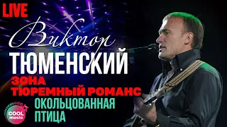 Виктор Тюменский - Окольцованная птица (Live)