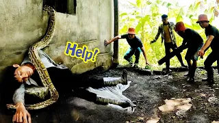 Young Man Screaming for Help When Giant Python Attacks Him | Mike Vlogs