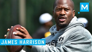 James Harrison Workout for NFL (Part 2) | Muscle Madness