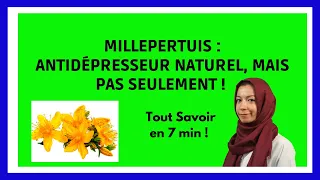 MILLEPERTUIS : Antidepresseur Naturel, Infos en 7 min !