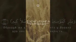сура Союзники 45-48 || шейх Сауд аш Шурейм