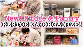 *NEW* GROCERY HAUL + FRIDGE RESTOCK + FREEZER ORGANIZATION | KITCHEN CLEANING & ORGANIZING