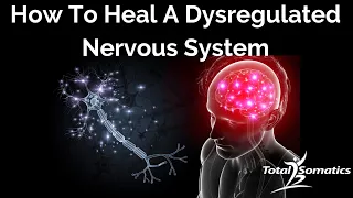 How To Heal A Dysregulated Nervous System