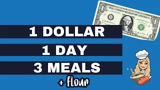 TRYING TO EAT FOR ONE DOLLAR A DAY plus flour | EXTREME GROCERY BUDGET CHALLENGE