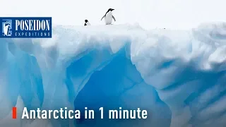 Antarctica in 1 minute - The seventh continent