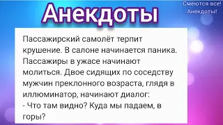 🤣 Профессиональная драка на свадьбе, Оптимист в берлоге у медведя и Крушение самолета 😆АНЕКДОТЫ!