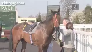 How To Spot A Winning Horse