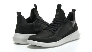 ECCO Scinapse Sneaker SKU: 9551725
