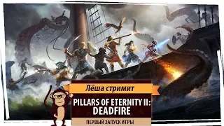 Pillars Of Eternity II: Deadfire. Серия №1: Первый запуск игры