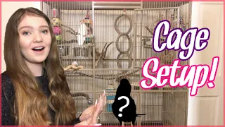 How to Set Up Your Parrot’s Cage! | Bird Cage Setup