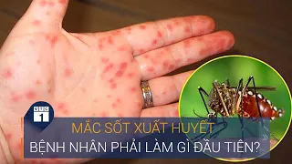 Mắc sốt xuất huyết: Những việc cần làm ngay! | VTC1