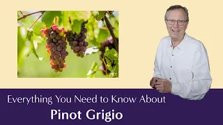 Pinot Grigio: Everything You Need to Know - Including Suggested Food Pairings