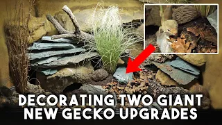 Giant Naturalistic Leopard Gecko Tank Builds | HOW WE DID IT