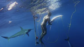 TOP SHOTS!!! (BEST OF 2015 - 2021) - Pesca Submarina en Canarias