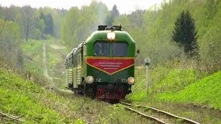 УЖД: Тепловоз ТУ2-273 близ о.п. Калниена / Narrow gauge: TU2-273 climbing up towards Dunduri