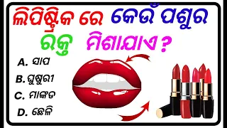 Top 20 General knowledge | ଓଡ଼ିଆ GK | GK Question | GK In Odia | GK Question and Answer | Lipstick |