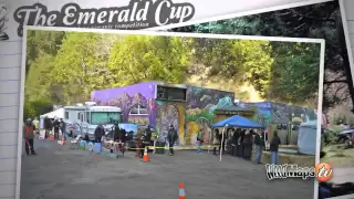 Emerald Cup | Outdoor Organic Cannabis Competition - Emerald Triangle