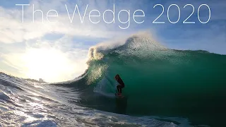 THE WEDGE | SURPRISE she is ALIVE | 2020 | First swell of the year