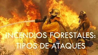 Incendios forestales tipos de ataques directos