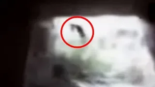 5 Witches Caught On Camera & Spotted In Real Life! #2
