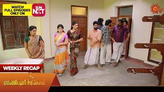 Pandavar Illam - Weekly Recap | 23 Oct 2023 - 28 Oct 2023 | Sun TV