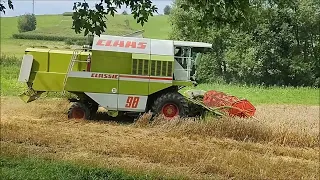 Żniwa 2023 CLAAS DOMINATOR 98 Massey Ferguson New Holland