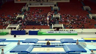 HOLGERSSON Felix (SWE) - 2018 Trampoline Worlds, St. Petersburg (RUS) - Qualification Trampoline R2