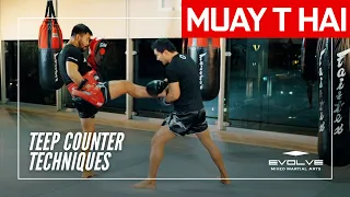 Muay Thai Training Series: Defense & Counters | Teep Counter Techniques