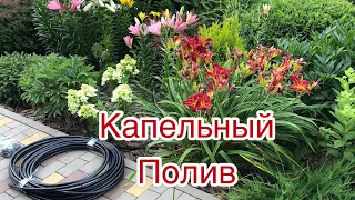 🔥КАПЕЛЬНЫЙ ПОЛИВ НА УЧАСТКЕ🔥СВОИМИ РУКАМИ🔥