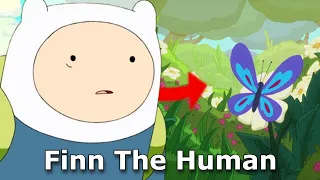 Finn The Human - Character Retrospective