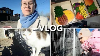 VLOG: Мотивация на уборку и день в зоопарке