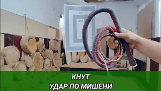 Удар кнутом по мишени.