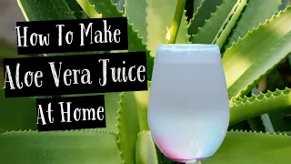Learn This Secret: Homemade Aloe Vera Drink for Glowing Skin & Health